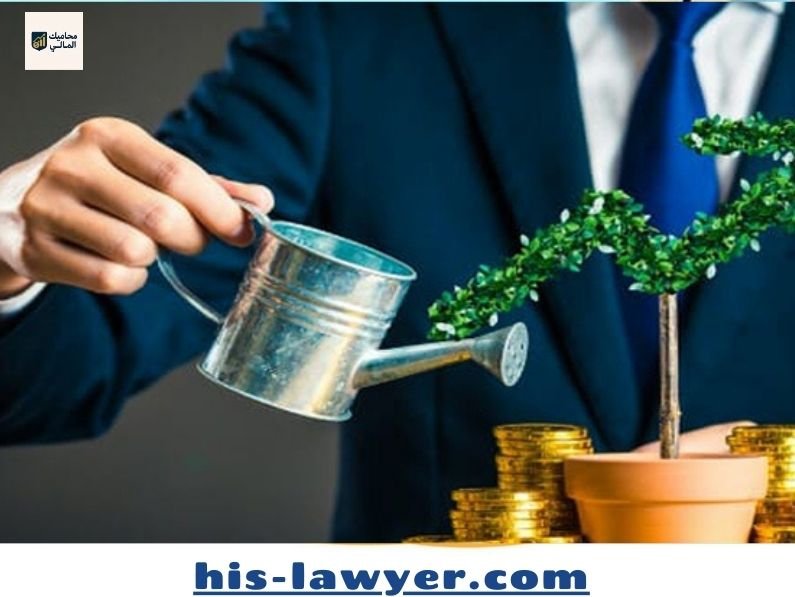 أدوات استثمارية بسيطة تمنحك عوائد طويلة الأجل بأقل مجازفة